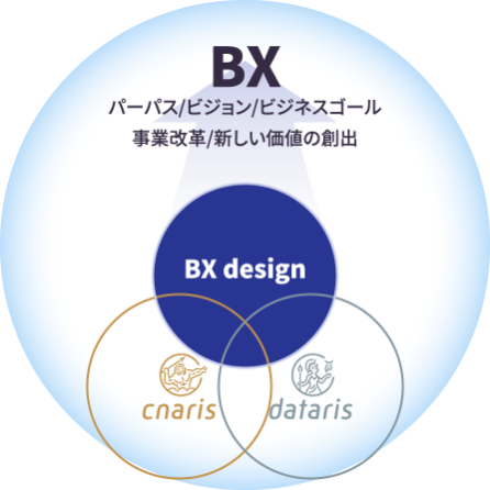 BX(Business Transformation)